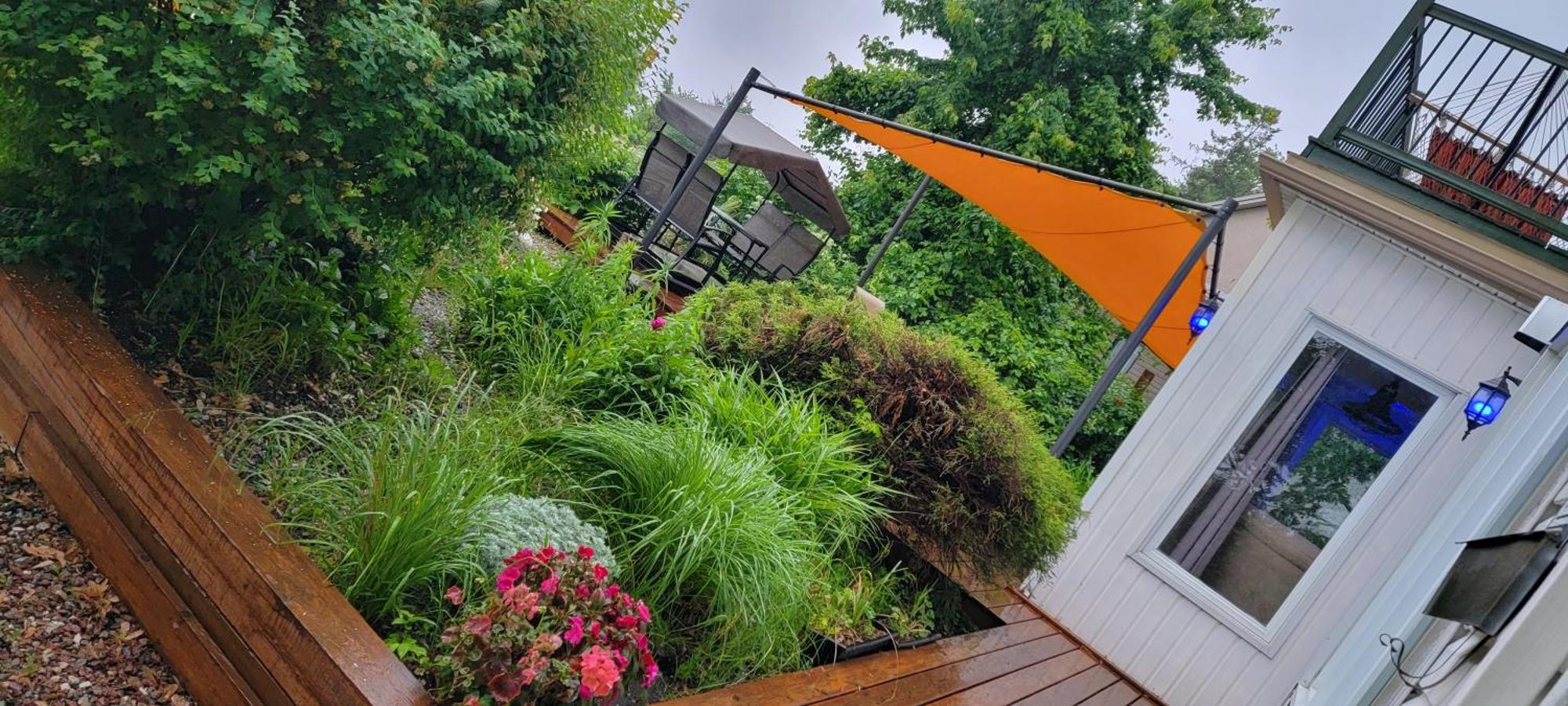 Kokomo Inn Bed And Breakfast Ottawa-Gatineau'S Only Tropical Riverfront B&B On The National Capital Cycling Pathway Route Verte #1 - For Adults Only - Chambre D'Hotes Tropical Aux Berges Des Outaouais Bnb #17542O Εξωτερικό φωτογραφία